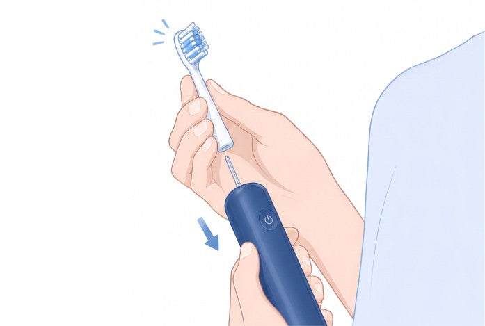 Align the brush head upward, then attach it to the handle