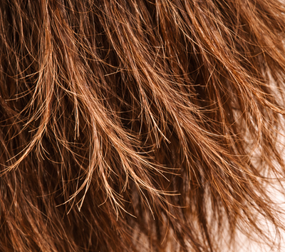 Dry, split, or damaged hair