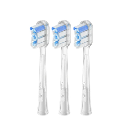 luxury toothbrush travel case