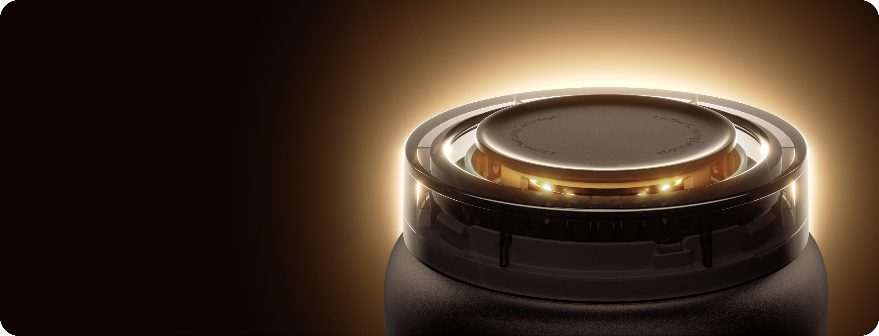 Nourish While Drying