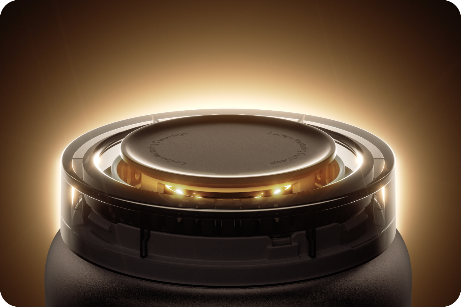 Nourish While Drying