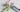 confronto dei modelli laifen: swift, se, mini