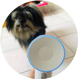 Asciugacapelli simile a Dyson